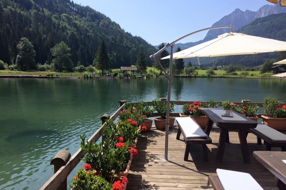 Kaiserwinkl Fischteiche - Bild 5